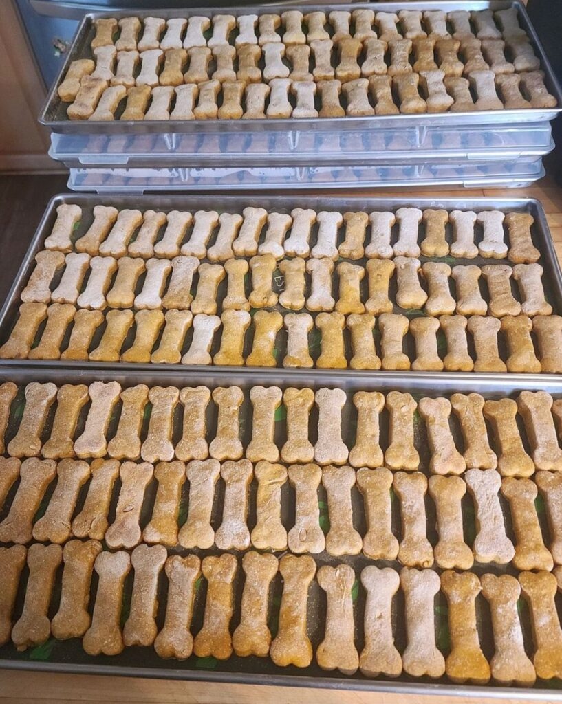 Freeze Dried Pumpkin Peanut Butter Treats