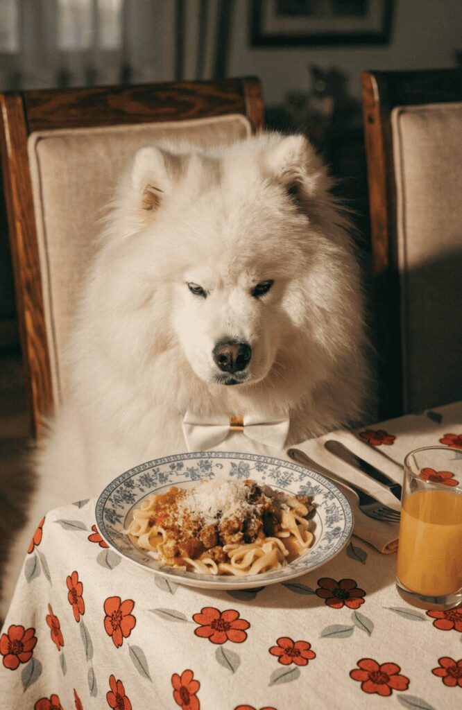 funny white male dog humorous personality