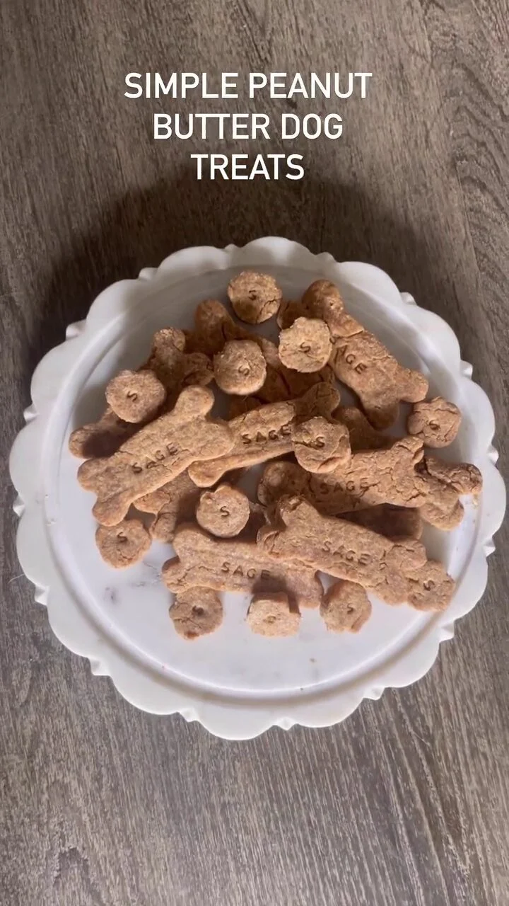 Golden Peanut Butter Biscuits treats