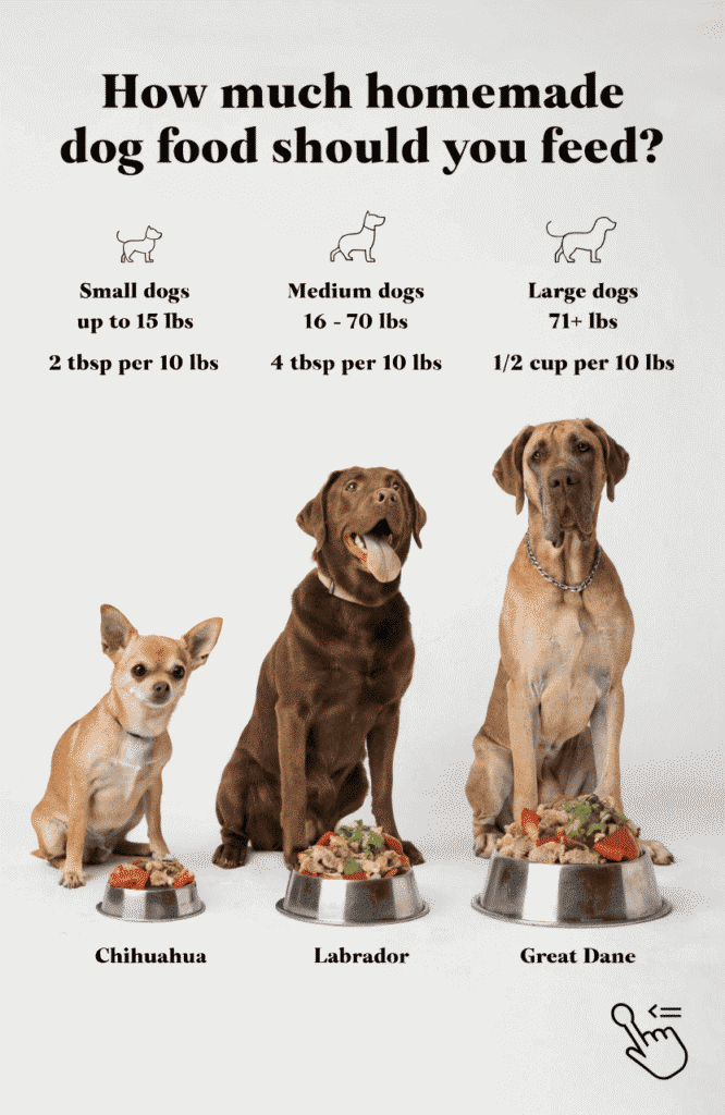 how much homemade dog food to feed by weight