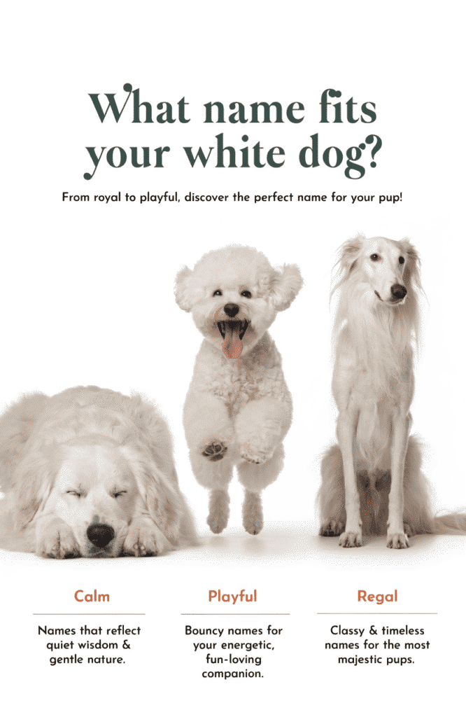 pet names for white dogs matched by personality
