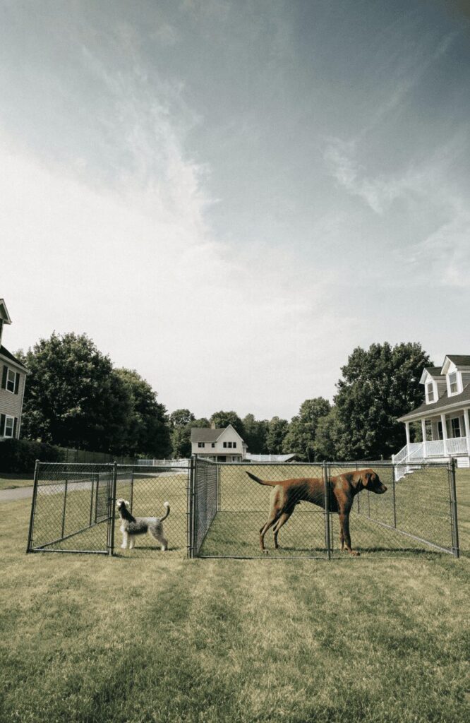 planning the right size for a backyard dog area
