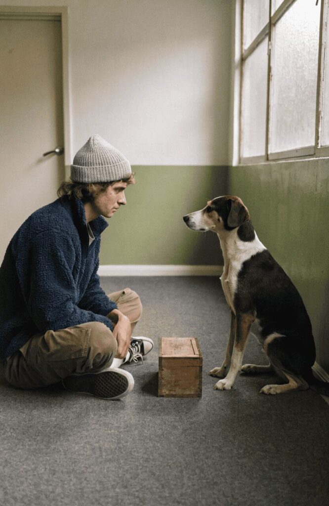 identifying intelligent rescue dog before adoption
