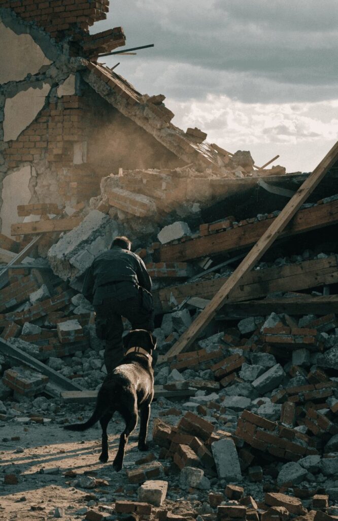smart rescue dogs search and rescue mission