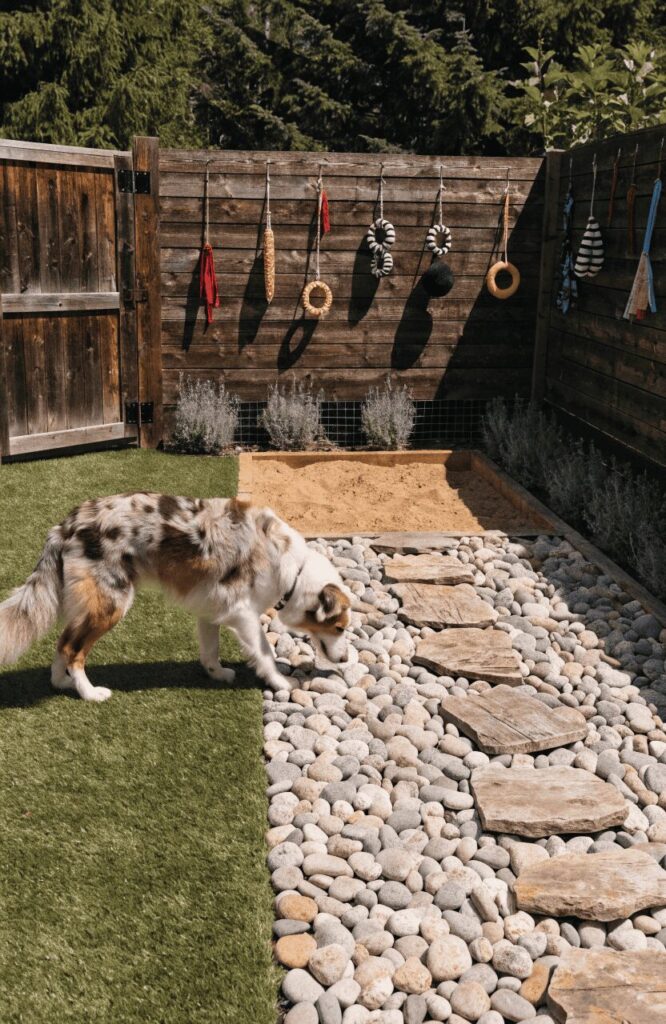 sensory enrichment dog run with multiple mixed surfaces for mental stimulation
