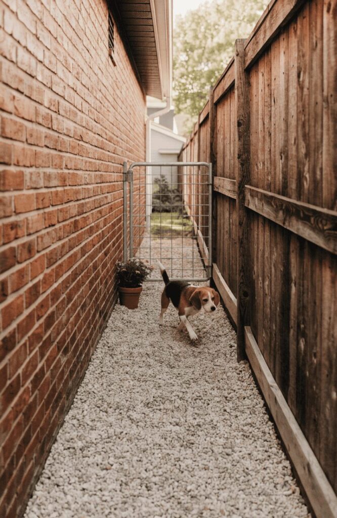 side yard corridor dog run using house wall and existing fence