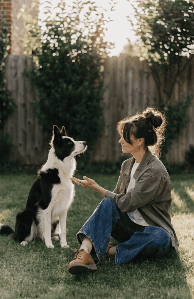 training smart rescue dogs at home positive reinforcement