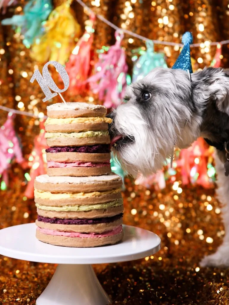 Ten Layer Banana Oat Celebration Cake