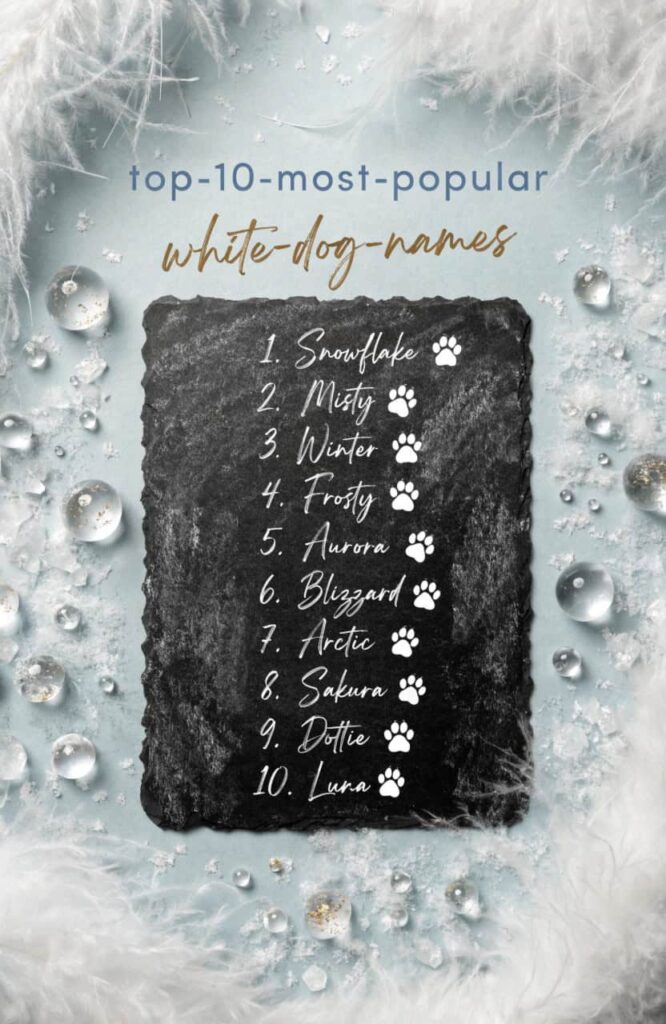 top 10 most popular white dog names