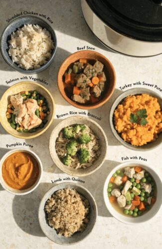 8 healthy crockpot dog food recipes overview