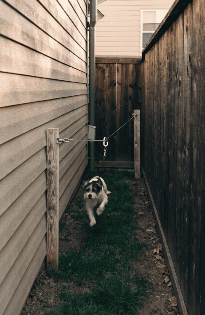 Aerial trolley tether dog run solution for a side yard under 3 feet wide