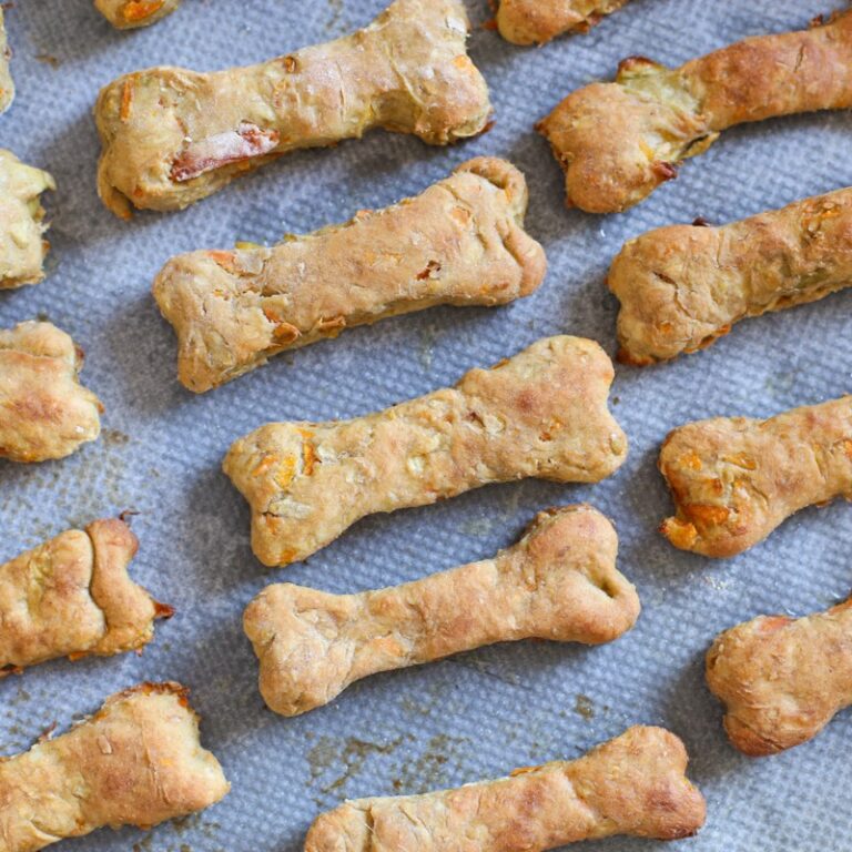 Apple carrot baked dog treats recipe on baking tray