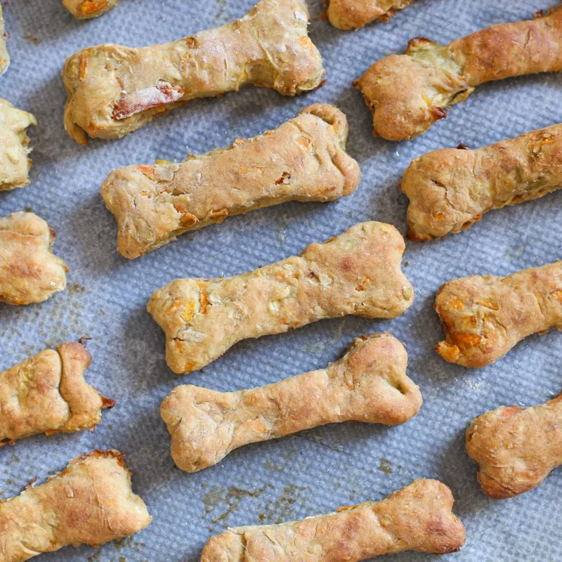 Apple carrot baked dog treats recipe on baking tray