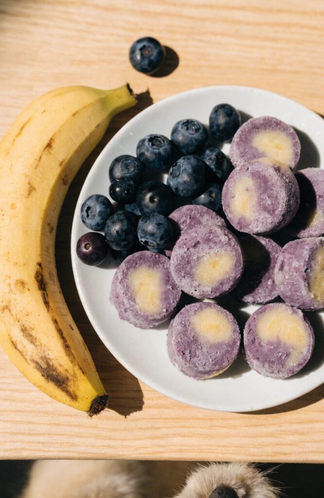 banana blueberry frozen yogurt bites for dogs with ripe banana slices