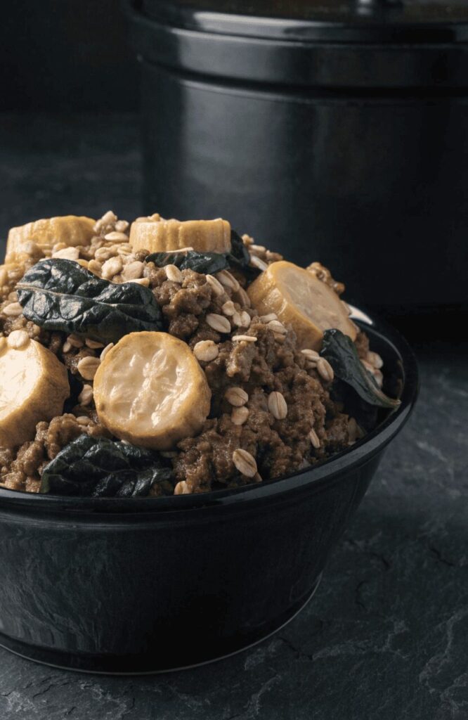 beef oat crockpot meal muscle support aging senior dog