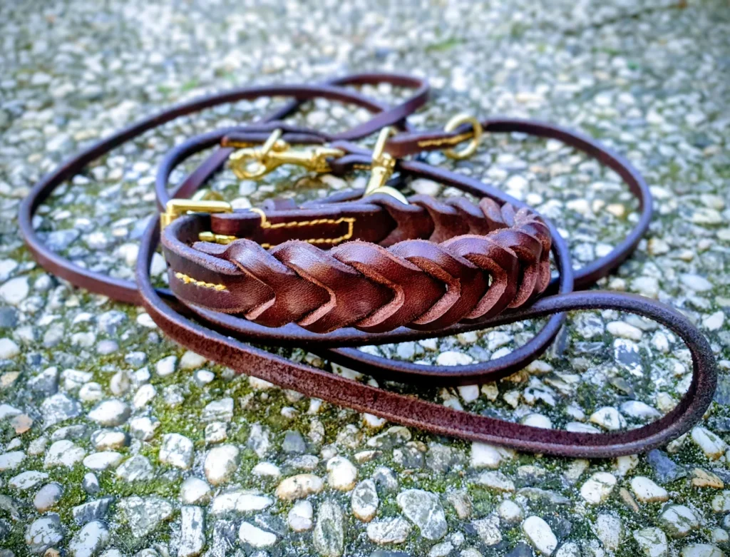 Classic braided leather dog collar and leash set in dark brown with brass hardware on cobblestone