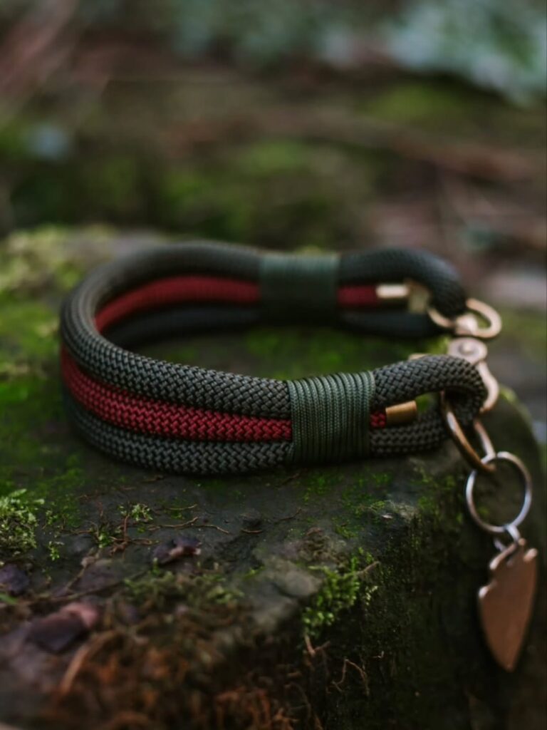 bundled rope dog collar in olive and burgundy for outdoor dogs