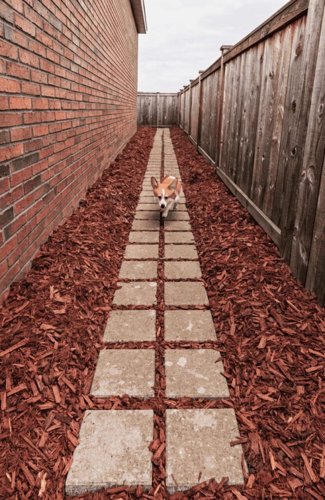 Cedar mulch and concrete paver path inside a budget side-yard dog run