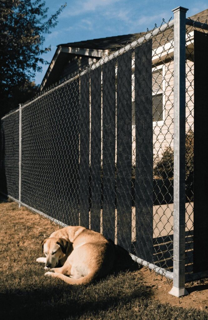Chain link fence with privacy slats