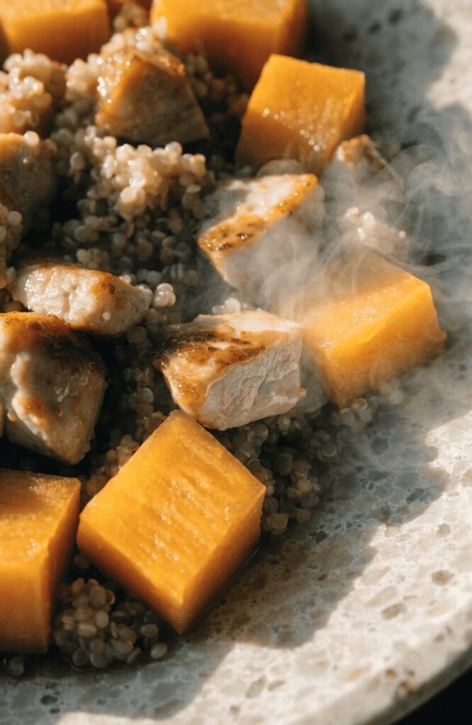 Chicken and squash dog food close-up texture