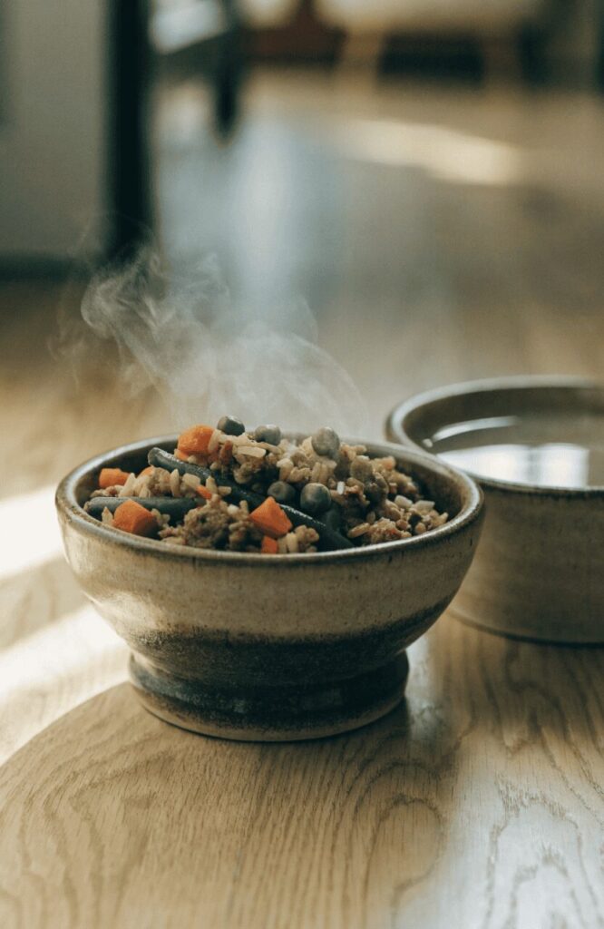 Crockpot dog food recipe with ground beef and brown rice