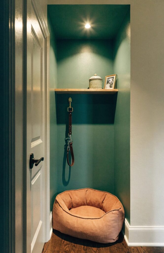 small apartment closet converted into cozy dog area with painted interior