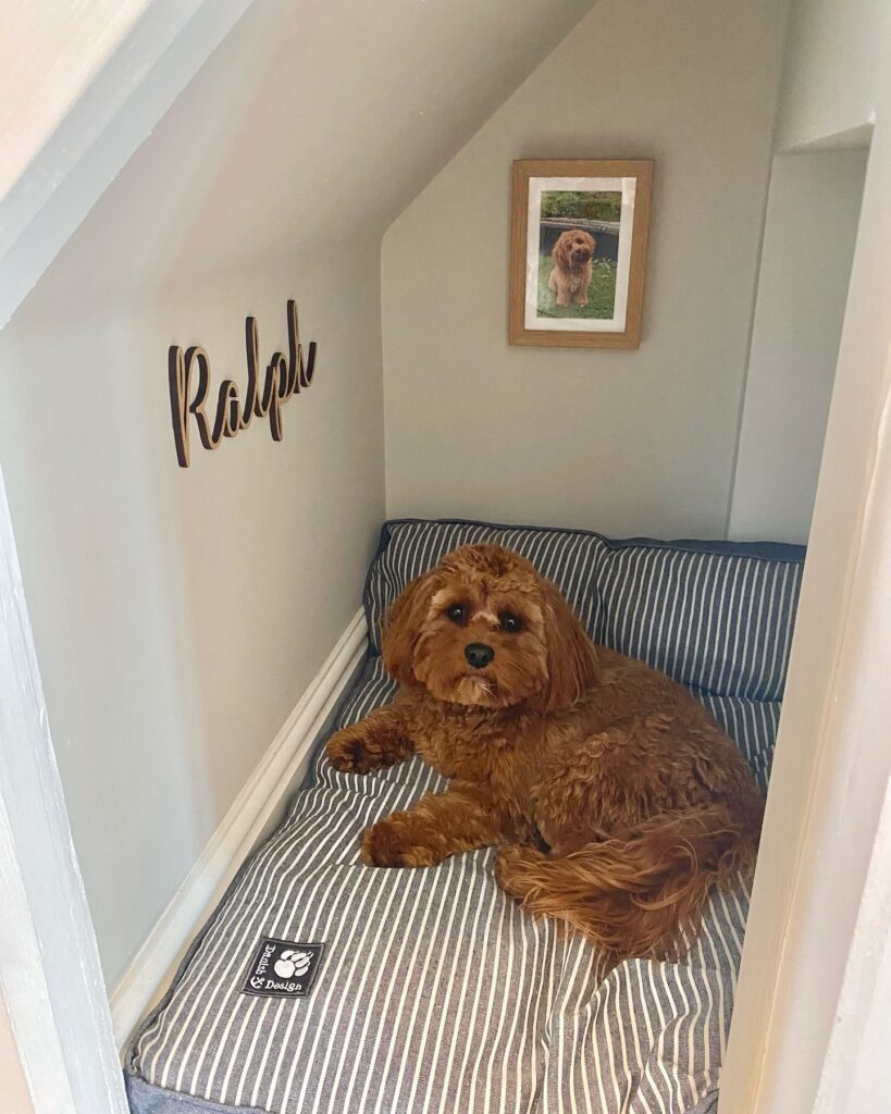 cockapoo sitting inside painted under stair dog nook with Ralph name sign