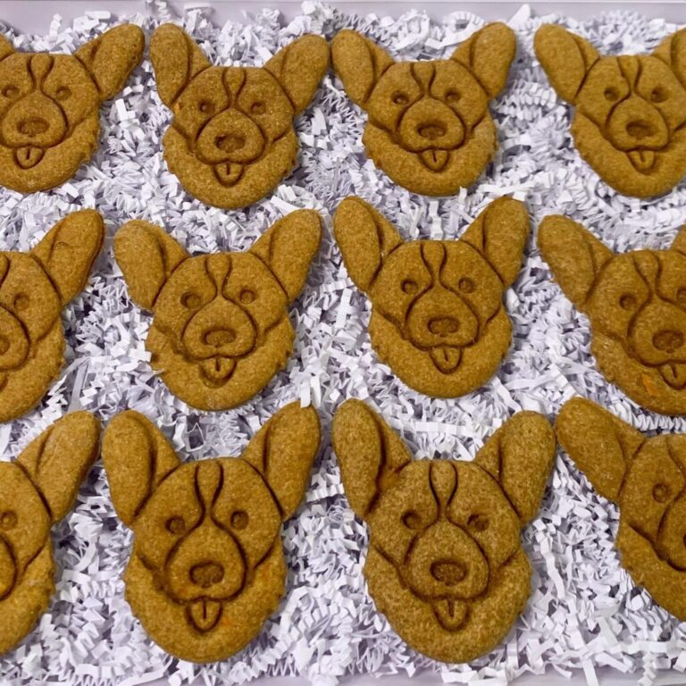 Corgi face baked dog treats recipes with embossed nose and ears