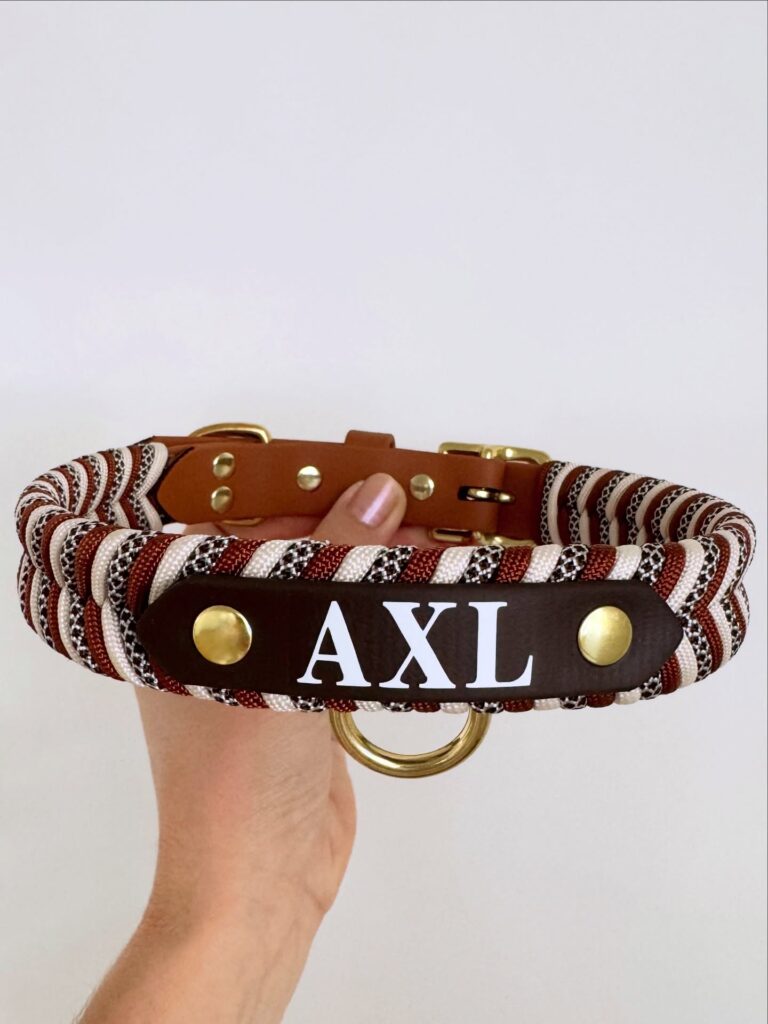 custom paracord dog collar with personalized leather nameplate