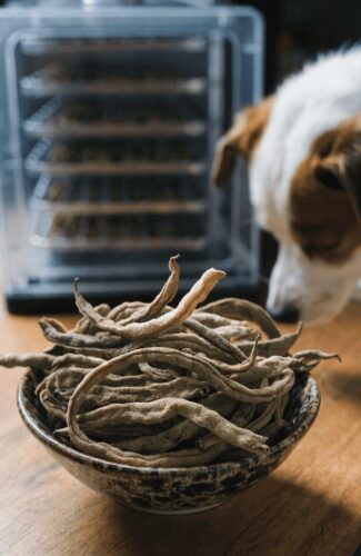 dehydrated green bean snacks for dogs in food dehydrator