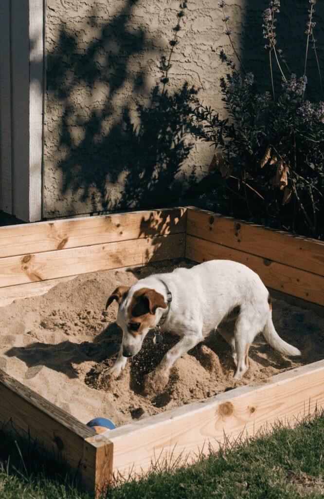 A dedicated digging pit area built in a backyard for dogs