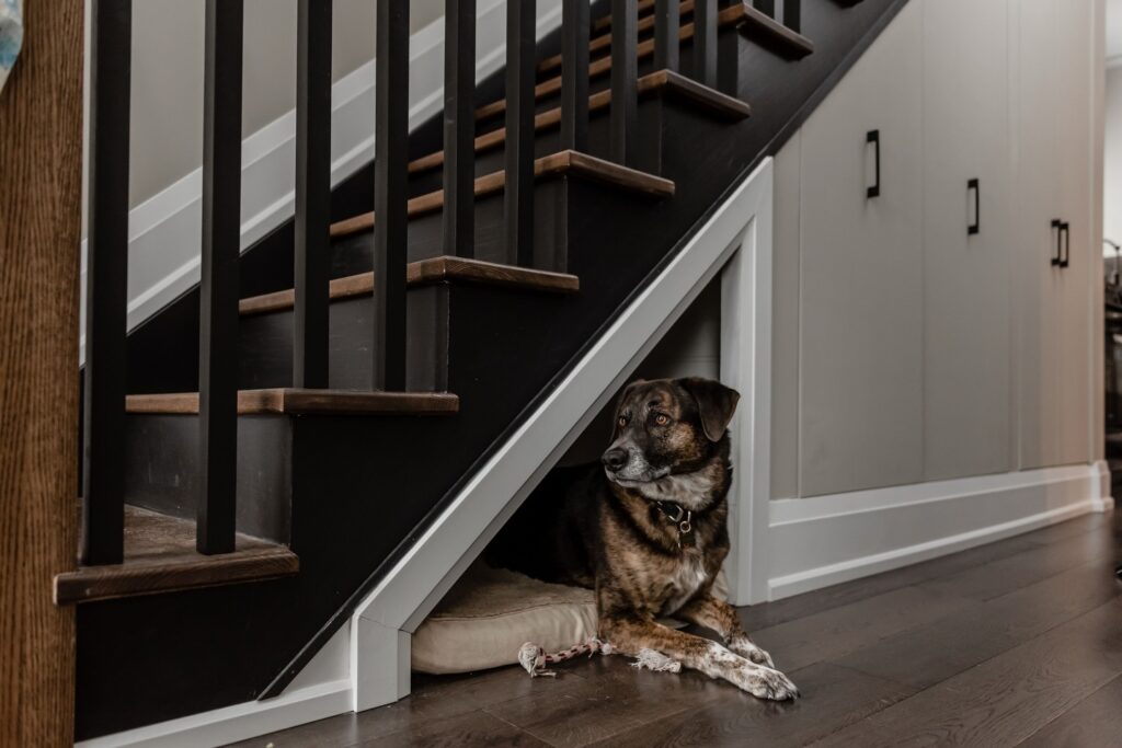 dog resting in natural open riser stair gap nook with cushion