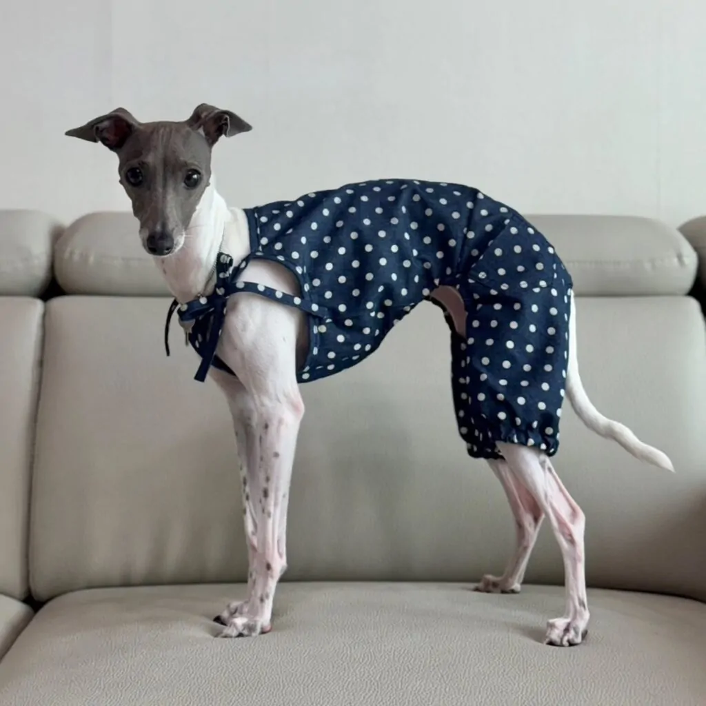 sighthound wearing diy oversized embroidered tee and rolled cuff cargo shorts side view