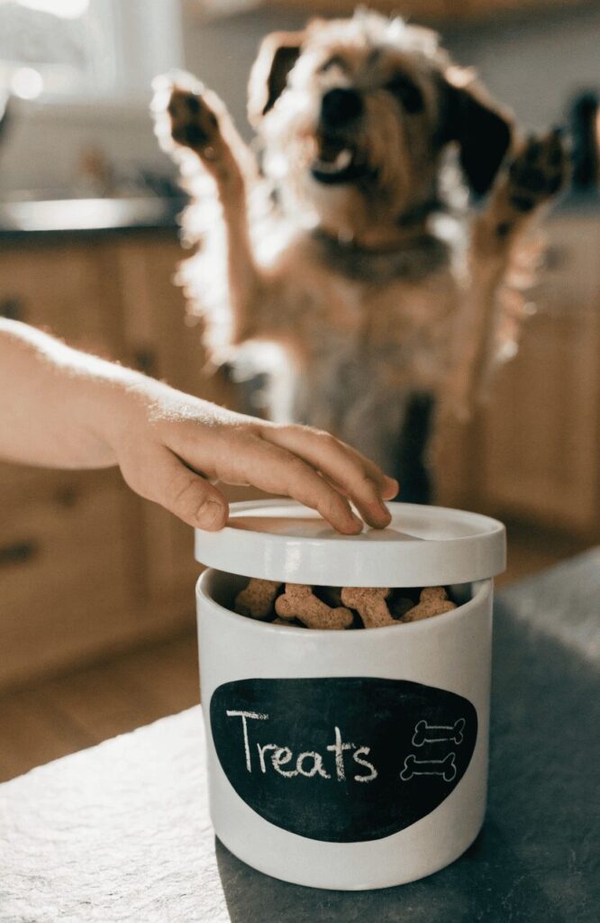 Dog Treat Chalkboard Container With Chalk Writing On Counter