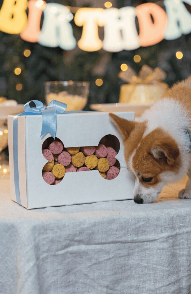 gift box with bone shaped window showing dog treats inside on festive table