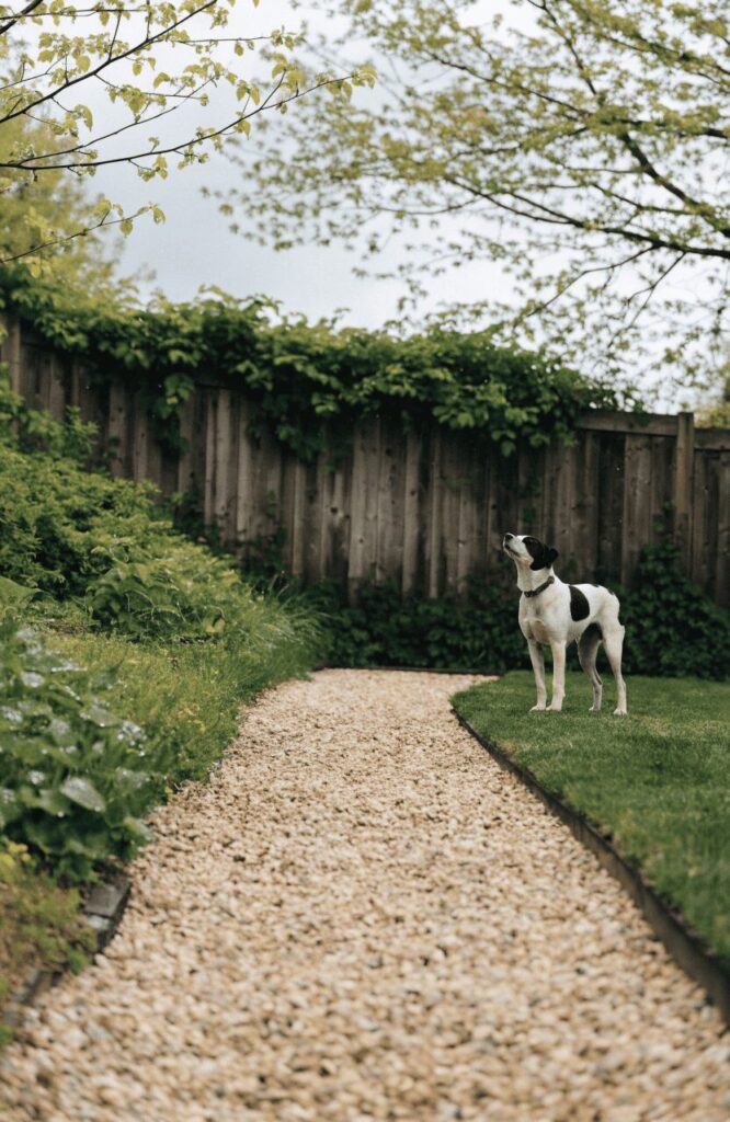 Backyard drainage trench keeping ground dry for dogs