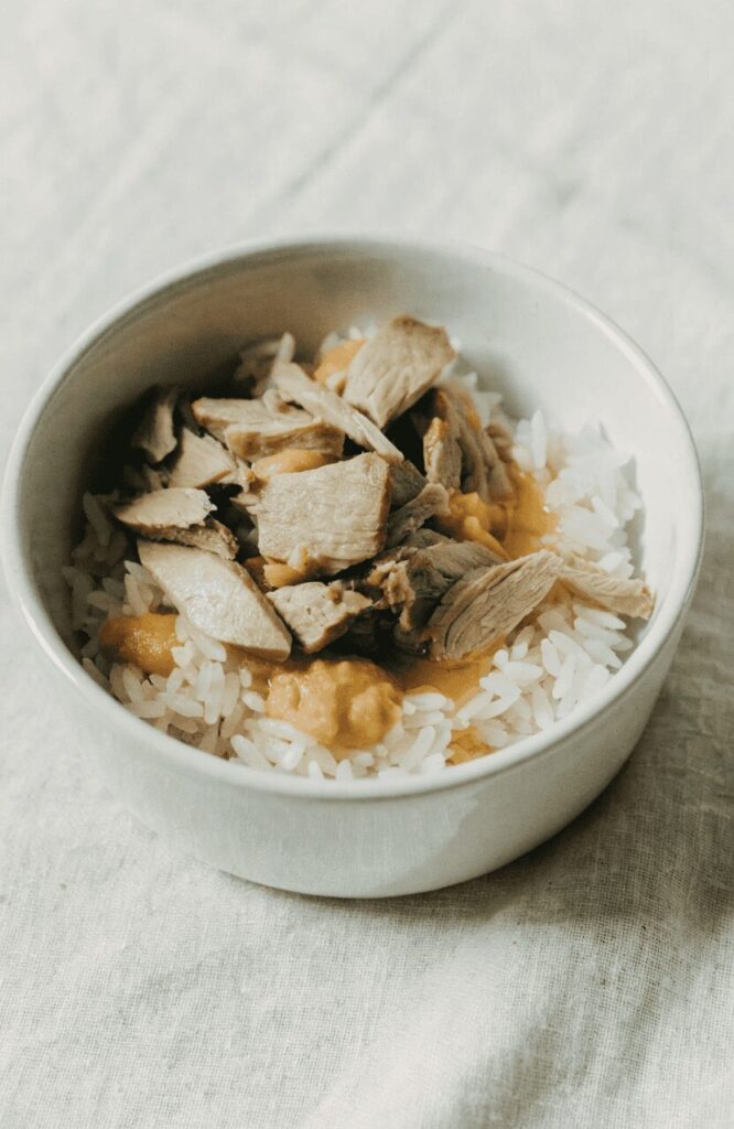 gentle duck rice homemade dog food for sensitive stomachs