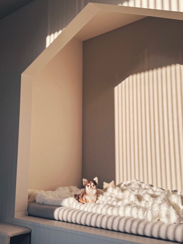 small chihuahua in elevated wall niche with house shaped architectural frame and ribbed paneling