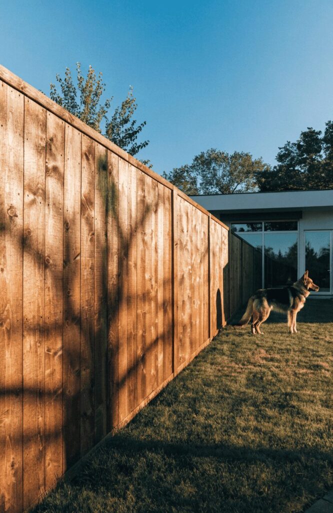 Tall wood privacy fence for big dog yards