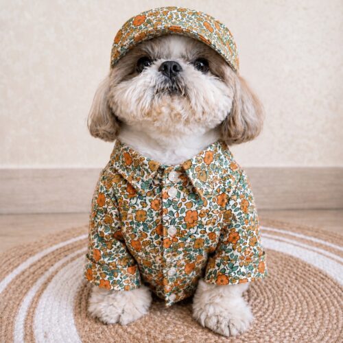 shih tzu in diy dog clothes ideas floral button down shirt with matching floral cap