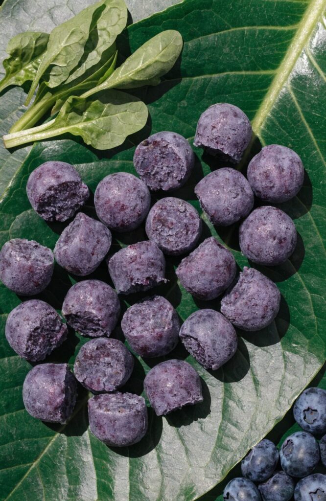 green spinach blueberry frozen yogurt bites healthy power snack for dogs
