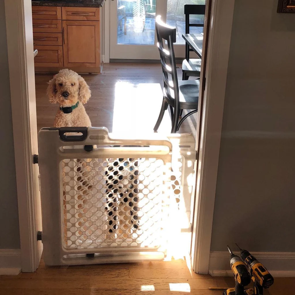 simple half door style easy DIY dog gate for interior doorway