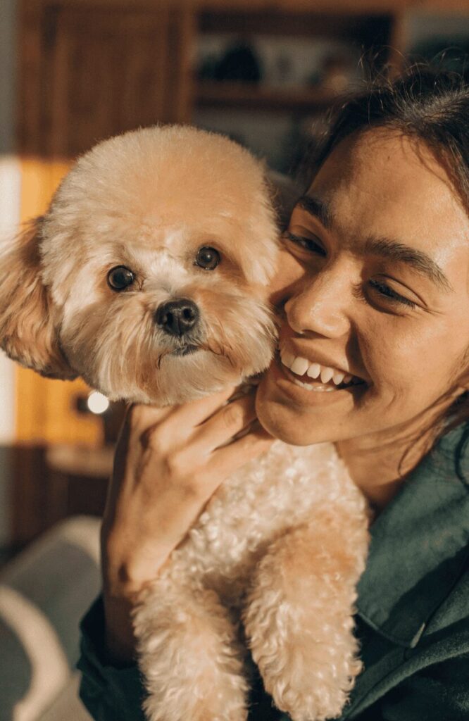owner holding fluffy Havanese with teddy bear cut