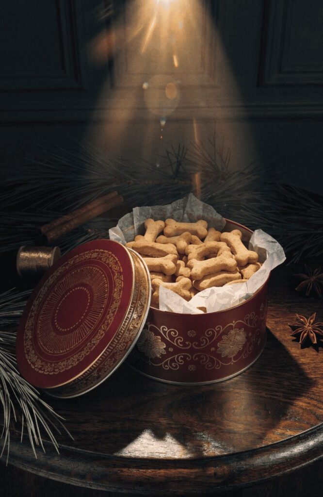holiday dog treat tin with paw print lid in dark dramatic christmas scene
