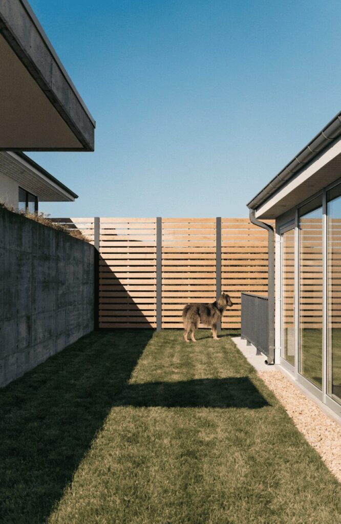 Horizontal slat fence architectural view large dog yard