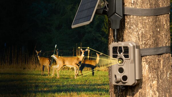 Low Maintenance Trail Camera Gear