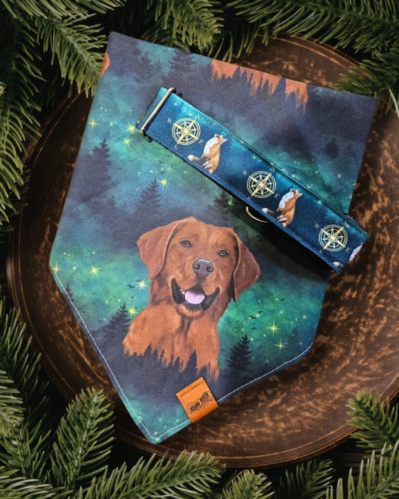 Matching pet portrait dog bandana and collar set with compass print strap