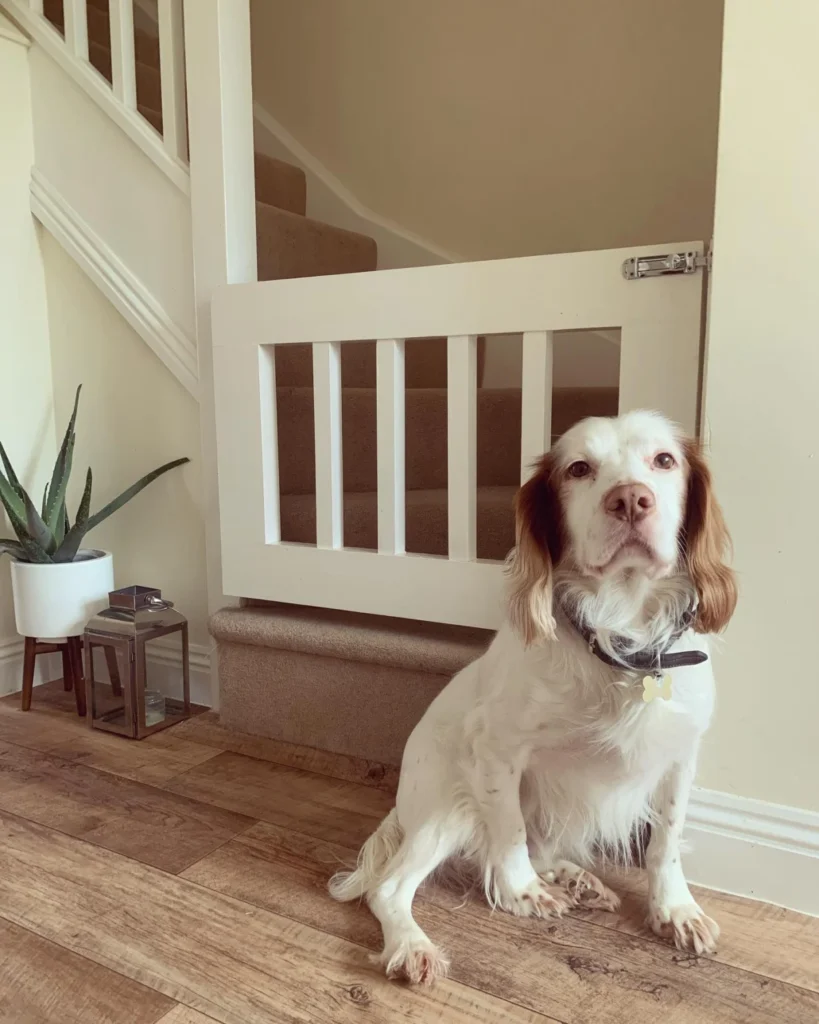 minimalist thick slat white dog gate inset into stair opening