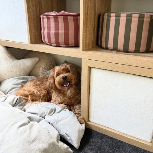 oak modular cube shelving unit with lower dog sleeping cubbies and decorative upper pet beds