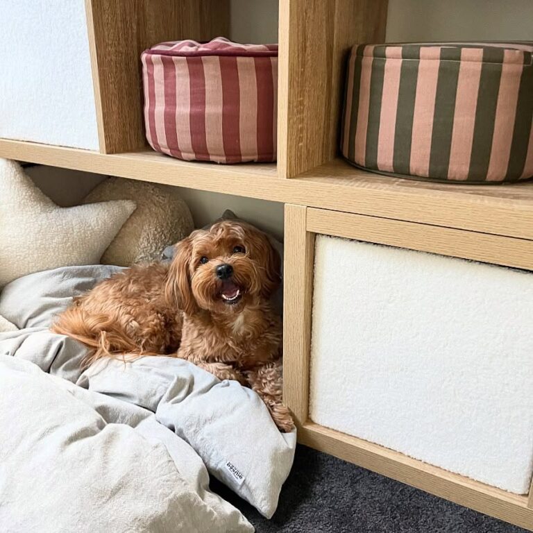 oak modular cube shelving unit with lower dog sleeping cubbies and decorative upper pet beds